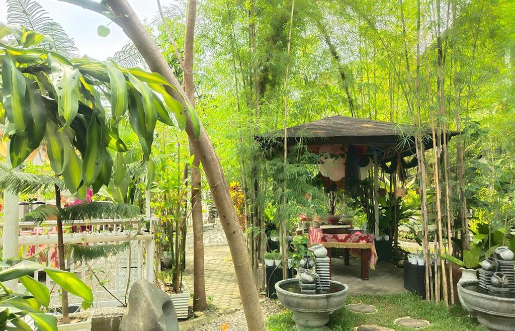New The Heritage Resort & Restaurant Bukit Lawang Bandartelu Luaran gambar