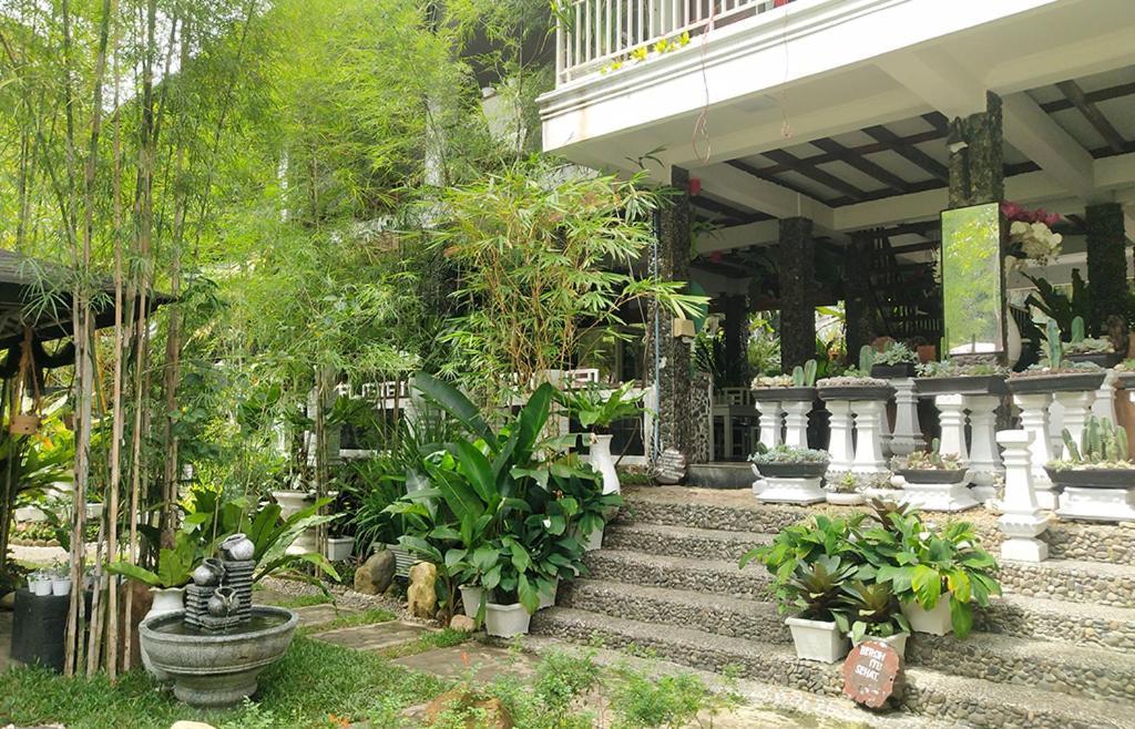 New The Heritage Resort & Restaurant Bukit Lawang Bandartelu Luaran gambar
